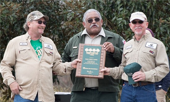Three Men Accepting an Award for The Tree Line USA