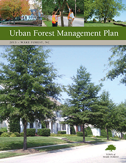 Cover of Urban Forest Mgt Plan
