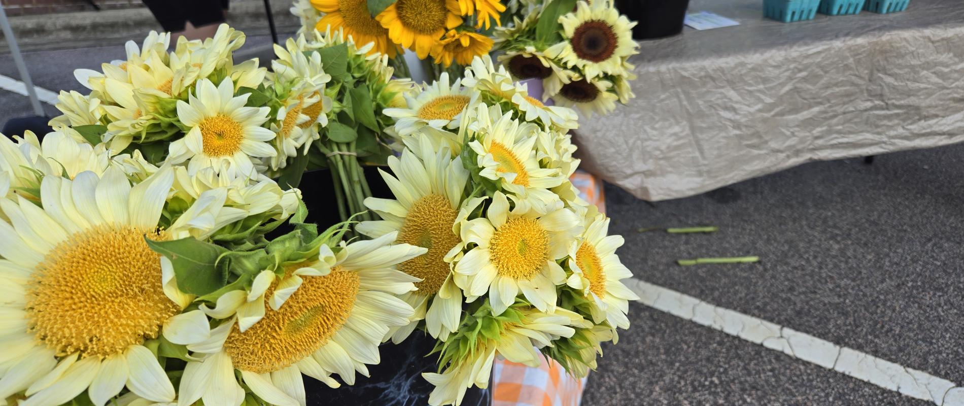 Farmers Market