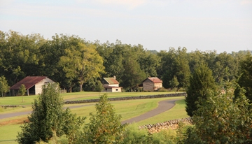 Joyner Park Barns Scenery