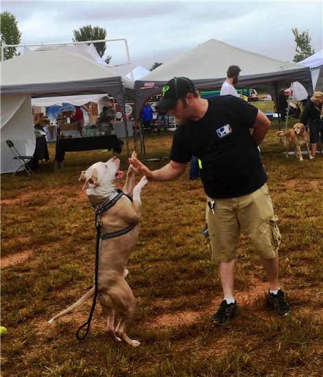 Dirty Dogs Pet Extravaganza | Town of Wake Forest, NC